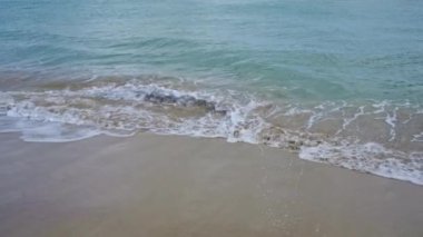 Salento, Puglia, İtalya 'daki Pescoluse sahilinin sakin bir günde kumsala karşı hafif dalgalar sergiliyor..