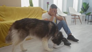 Modern bir oturma odasında köpekli genç bir İspanyol adam, rahat ve evcil hayvan arkadaşlığı yapıyor..