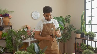 Focused man trimming plants in a cozy indoor flower shop with greenery around. clipart