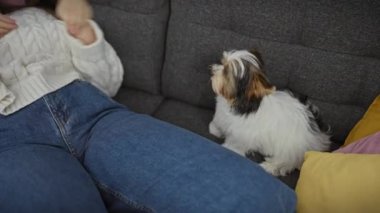 Gülümseyen genç bir kadın, rahat bir oturma odasında bisikletli Yorkshire Teriyeriyle evde vakit geçirmekten zevk alır..