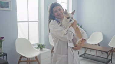 Genç bir kadın veteriner, arka plandaki duvarda beyaz sandalyeli ve saati olan bir veteriner kliniğinde bir chihuahua köpeği tutuyor..