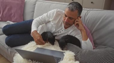 Orta yaşlı bir adam evinde iki Chihuahua ile kanepede dizüstü bilgisayar kullanıyor..
