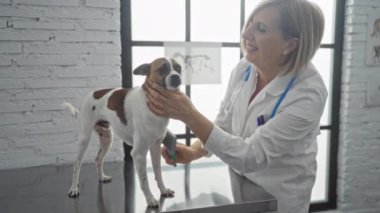 Gülümseyen bir kadın veteriner, aydınlık bir veteriner kliniğinde küçük bir köpeği muayene ediyor, ilgili ve profesyonel bir ortam sergiliyor..