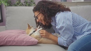 Orta yaşlı İspanyol bir kadın kanepede evcil köpeğini kucaklıyor..