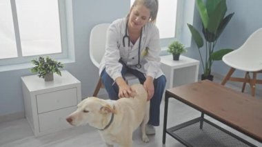 Gülümseyen bir kadın veteriner, parlak bir veteriner kliniğinde köpeği rahatlatır..