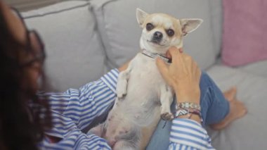 Olgun bir kadın, rahat ve sevgi dolu bir anda rahat bir kanepede Chihuahua 'sıyla sarılıyor..