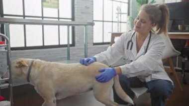 Beyaz önlüklü veteriner kadın parlak veteriner kliniğinde özenli bir köpeği muayene ediyor.