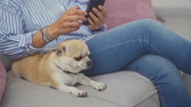 Orta yaşlı bir kadın evinde kanepede Chihuahua 'sıyla akıllı telefondan mesaj atıyor.