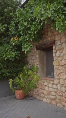 Yeşillik yeşillik ve ahşap pencere pervazının altında terasotta saksısı olan eski bir kır evi cephesi..