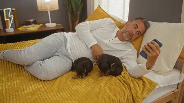 stock image Middle-aged man lying on a bed in a bedroom with two chihuahuas, using his phone.