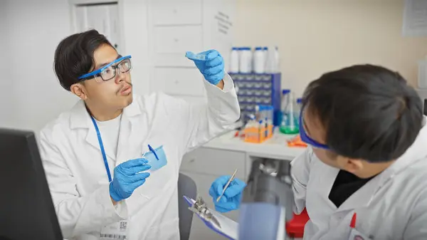 stock image Two male scientists working together in a laboratory, examining samples, wearing lab coats and protective gloves.