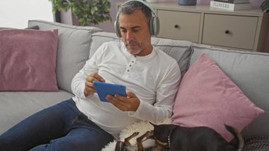 Orta yaşlı İspanyol bir adam sıcak bir oturma odasında iki chihuahua ile kanepede otururken tablet kullanıyor..