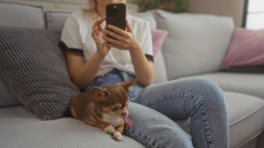 Chihuahua 'sı kanepede yatarken genç bir kadın akıllı telefon kullanarak oturma odasında oturuyor..