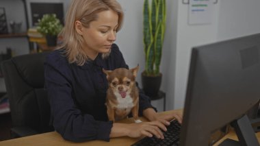 Genç sarışın bir kadın bilgisayarın başında Chihuahua köpeğiyle çalışıyor. Dedektifin ofisinde. Kapalı alandaki bir iş yerini vurguluyor..