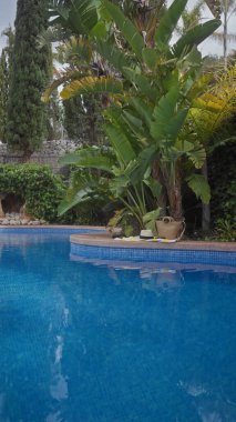 Tropik havuz kenarı manzarası, palmiye ağaçları, hasır şapka, çanta ve mavi suyla düzgünce dizilmiş sandaletler.