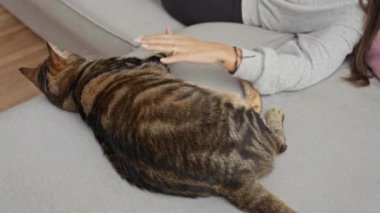 Oturma odasında bir kadın gri bir kanepede uzanmış evde rahat bir ortam sunarken bir tekir kediyi okşuyor..