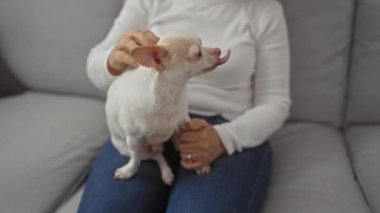 Orta yaşlı beyaz bir kadın, rahat bir oturma odasında gri bir kanepede otururken küçük bir chihuahua köpeği besliyor..