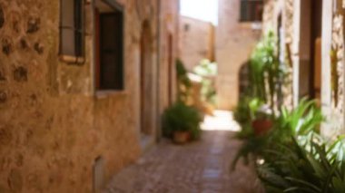 Mallorca, İspanya 'da yeşil bitkilerle dolu geleneksel bir taş sokak.