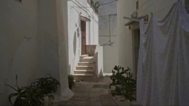 Ostuni, Puglia, İtalya 'da sakin bir sokak, taş basamakları, beyazlatılmış duvarları ve güneşli bir günde saksı bitkilerini gösteriyor..