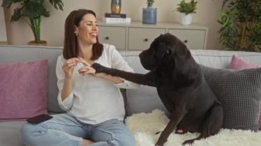 Genç bir İspanyol kadın rahat bir yuva ortamında kanepede oturup labrador köpeğiyle oynuyor..