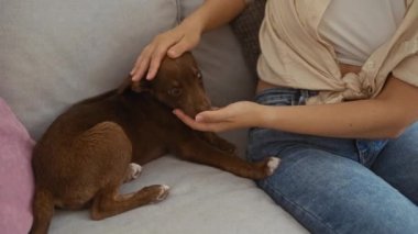 Oturma odasındaki bir kanepede oturan bir kadın ev ortamında kahverengi bir köpeği okşuyor..