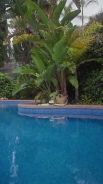 Muz bitkileriyle tropik havuz başı, örülmüş bir çanta, şapka, sandaletler, ve dingin, davetkar mavi bir yüzme havuzu..