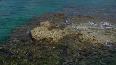 Salento, Torre dell 'orso, puglia, İtalya, Avrupa' da kristal berrak turkuaz su ve su altı kayaları görülebilir..