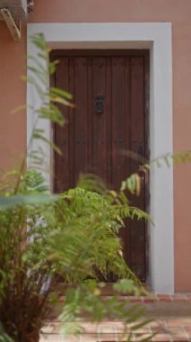 Çerçevesi yemyeşil eğrelti otları ve mercan renkli bir duvarla çevrili taşralı ahşap bir kapı..