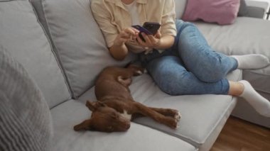 Bir kadın oturma odasında rahat bir koltukta oturuyor. Elinde kredi kartı ve cep telefonu var. Uyuyan köpeğinin yanında..