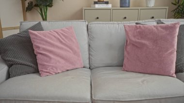 Gri kanepeli, pembe ve gri yastıklı modern oturma odası, beyaz dolap, kapalı bitki ve dekoratif eşyalar..