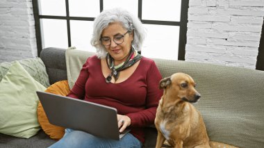 Gri saçlı olgun bir kadın rahat bir oturma odasında köpeğinin yanında dizüstü bilgisayarda çalışıyor.