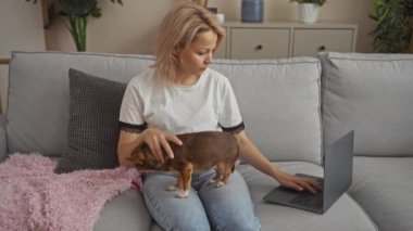 Genç sarışın bir kadın, oturma odasında oturuyor, kanepeye oturmuş, kucağında bir chihuahua köpeği ve dizüstü bilgisayar kullanıyor..