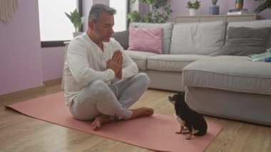 Orta yaşlı İspanyol bir adam, sıcak bir oturma odasında yoga minderinde küçük bir chihuahua köpeğiyle meditasyon yapıyor..