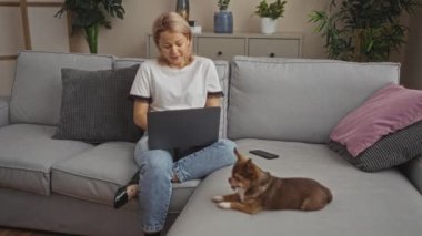 Genç bir kadın oturma odasındaki kanepeye dizüstü bilgisayarıyla uzanır. Chihuahua köpeğinin yanına..