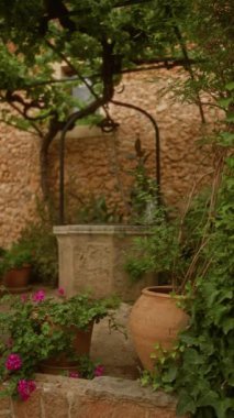 Taştan duvarlı taşra bahçesi ve yemyeşil sarmaşıkların altında canlı çiçeklerle dolu kil kaplar..