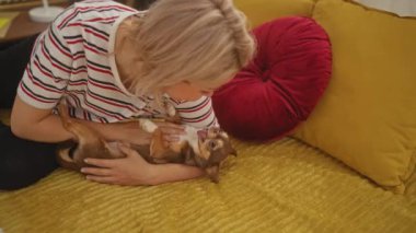 Sarışın genç bir kadın, sarı bir yatakta Chihuahua köpeğiyle oynuyor. Evdeki rahat bir yatak odasında sevgi dolu bir bağ ve sıcak bir ev ortamı sergiliyor..