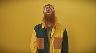 Bearded redhead man shouting and looking up against an isolated yellow background. clipart