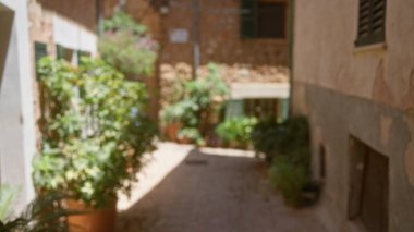 Mallorca sergilerindeki bitkilerle dolu bulanık bir ara sokak. Güneş ışığında arka plan çözüldü. Kırsal bokeh etkisi ve güzel açık hava manzarası var.