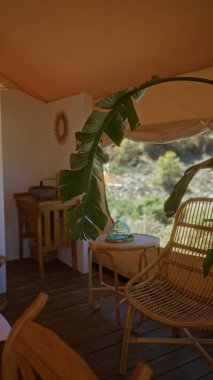 Bereketli Afrika yeşillikleriyle çevrili bir çadırın içinde ahşap bir sandalye ve masa sergilenen sakin bir kamp düzeni, doğada rahatlatıcı bir macera için mükemmel..