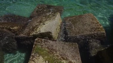 Açık mavi okyanus suyunda yosun kaplı kayalar açık deniz ortamında doğa ve sükuneti ön plana çıkarıyor..