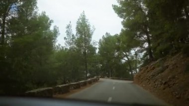 Bulutlu bir günde sık orman ağaçlarıyla çevrili dar bir yol seyahat ve doğa meraklıları için ideal sakin bir açık hava manzarasını gösteriyor..