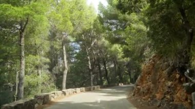 Güneşli bir günde, açık gökyüzü olan yemyeşil bir ormanda uzun ağaçlarla çevrili manzaralı bir yol.