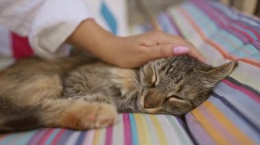 Kadın, çok renkli çizgili bir yastıkta uyuyan kediyi okşuyor. Kadın ve hayvan arasındaki huzurlu bir rahatlama ve hassasiyet anında yakalanıyor.