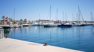 Güneşli bir marinanın bulanık manzarası. Durgun sulara yansıyan çeşitli tekne ve yatlar. Palmiye ağaçları ve açık mavi gökyüzünün altındaki uzak binalar..