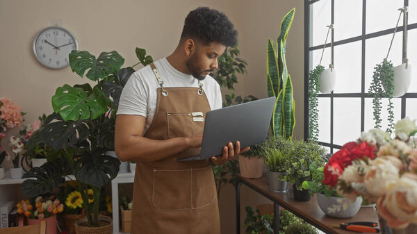 Man Florist Using Laptop Indoor Flower Shop Floral Arrangements Greenery Stock Image