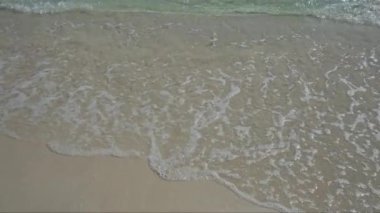 Porto Sezeryan 'daki huzurlu sahil sahnesi, İtalya' da berrak turkuaz suyla yavaşça kumlu kıyıya vuruyor, seyahat ve doğa kavramları için mükemmel..