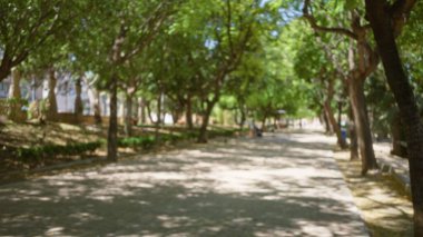 Defocused scene of a sunny outdoor park with trees, shadows, and people walking in the blurred background, highlighting the natural and serene environment. clipart