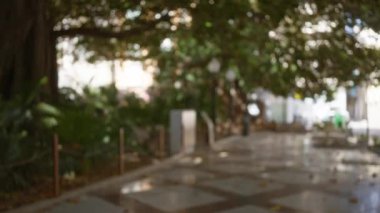 Arka planda büyük ağaç ve yürüyüş yolu olan bulanık bir bahçe manzarası.