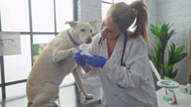 Genç bir kadın veteriner, parlak bir klinikte bir köpeğin patisini muayene ediyor..