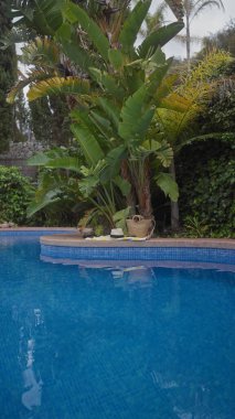 Muz bitkileri, hasır çanta, parmak arası terlik ve lüks bir tatil ortamı tasvir eden havluyla tropik havuz başı..